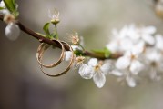 夢中之筆，一篇關(guān)于夢到文章的探索