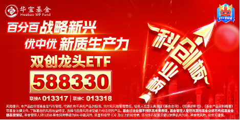 2024年收官！中國版“納斯達克”——雙創(chuàng)龍頭ETF（588330）年內(nèi)累漲14%