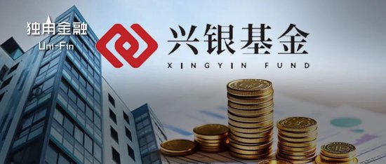 從“千億神話”到縮水190億，金融“女將”辭任興銀基金董事長